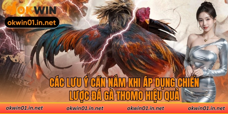 Các lưu ý cần nắm khi áp dụng chiến lược đá gà Thomo hiệu quả
