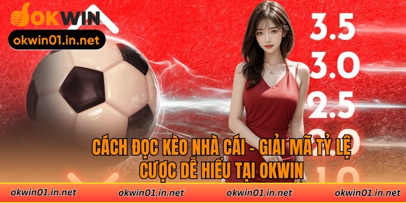 Lợi ích nhận được khi nắm rõ các tỷ lệ