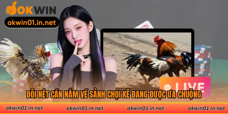 Đôi nét cần nắm về sảnh chọi kê đang được ưa chuộng