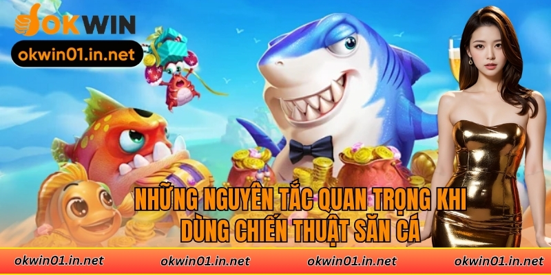 Những nguyên tắc quan trọng khi dùng chiến thuật săn cá