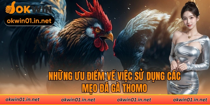 Những ưu điểm về việc sử dụng các mẹo đá gà Thomo