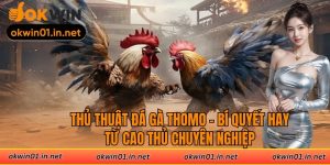 Thủ Thuật Đá Gà Thomo - Bí Quyết Hay Từ Cao Thủ Chuyên Nghiệp
