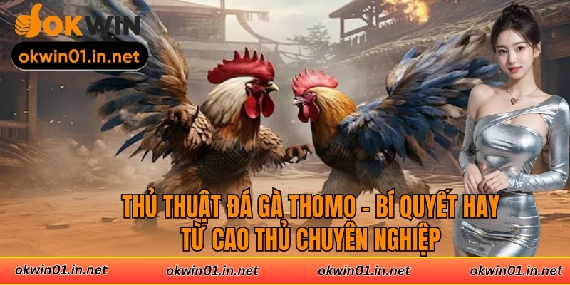 Thủ Thuật Đá Gà Thomo - Bí Quyết Hay Từ Cao Thủ Chuyên Nghiệp